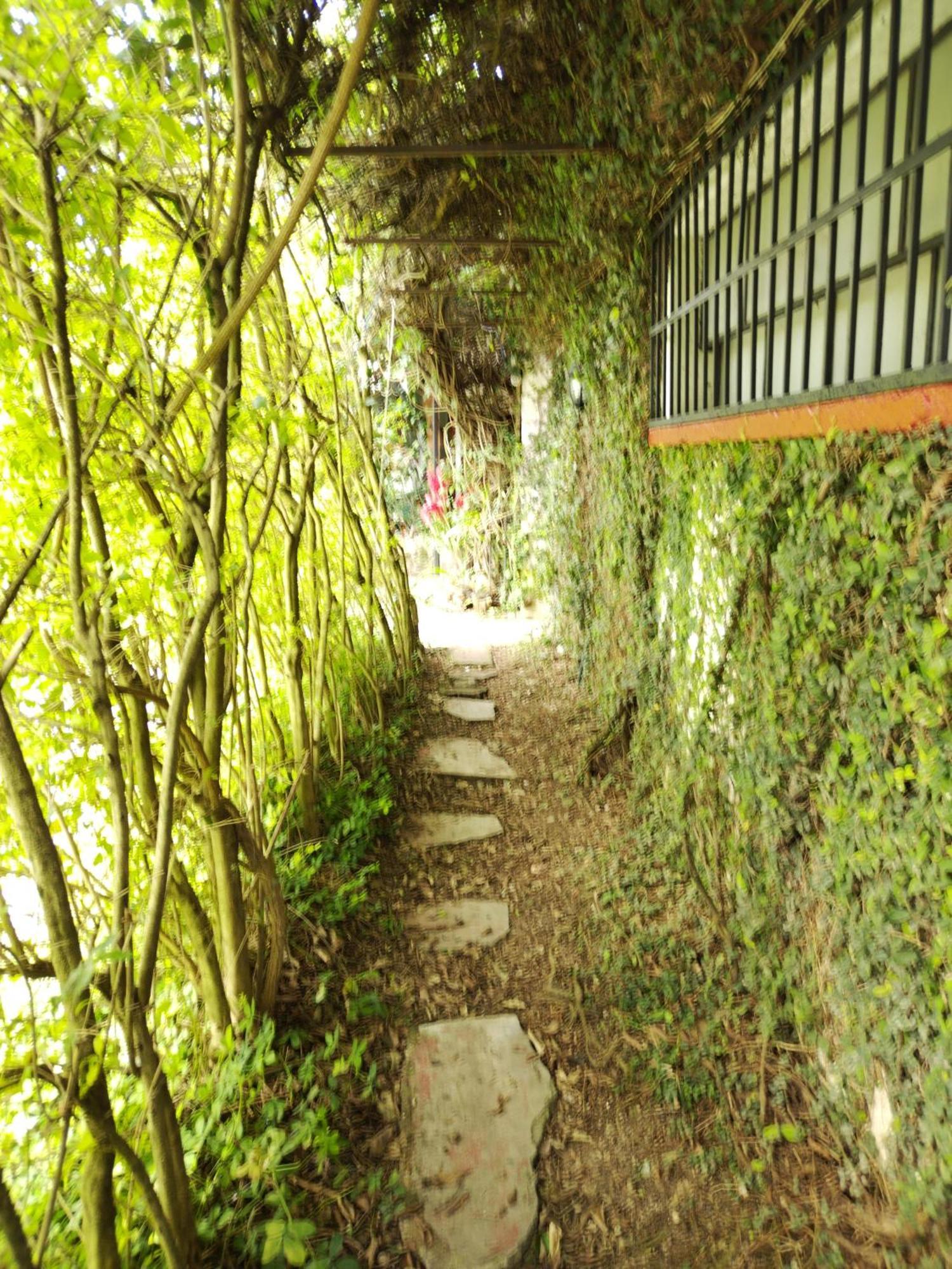 Hotel Casa Chapultepec Coban Ngoại thất bức ảnh