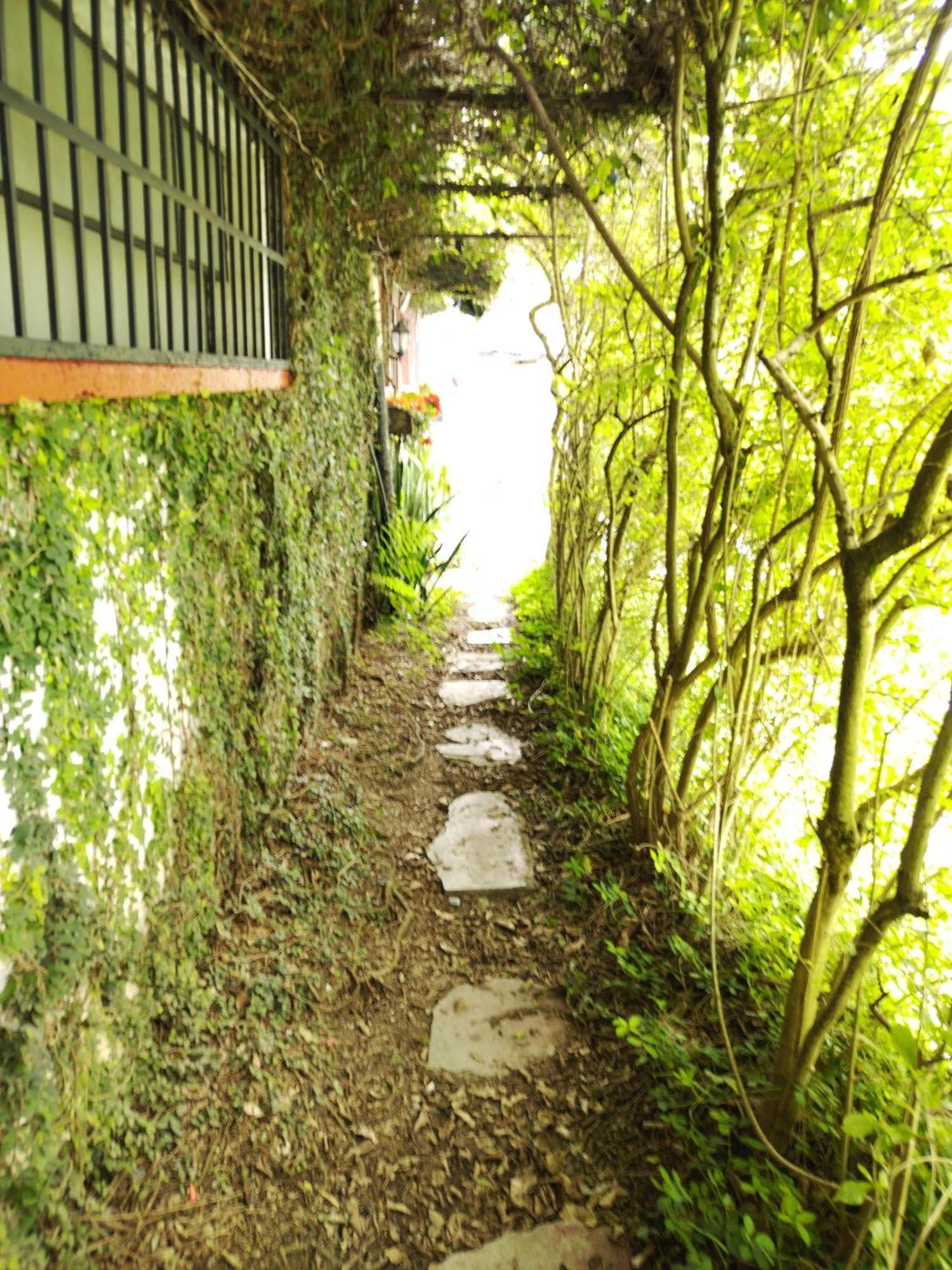 Hotel Casa Chapultepec Coban Ngoại thất bức ảnh